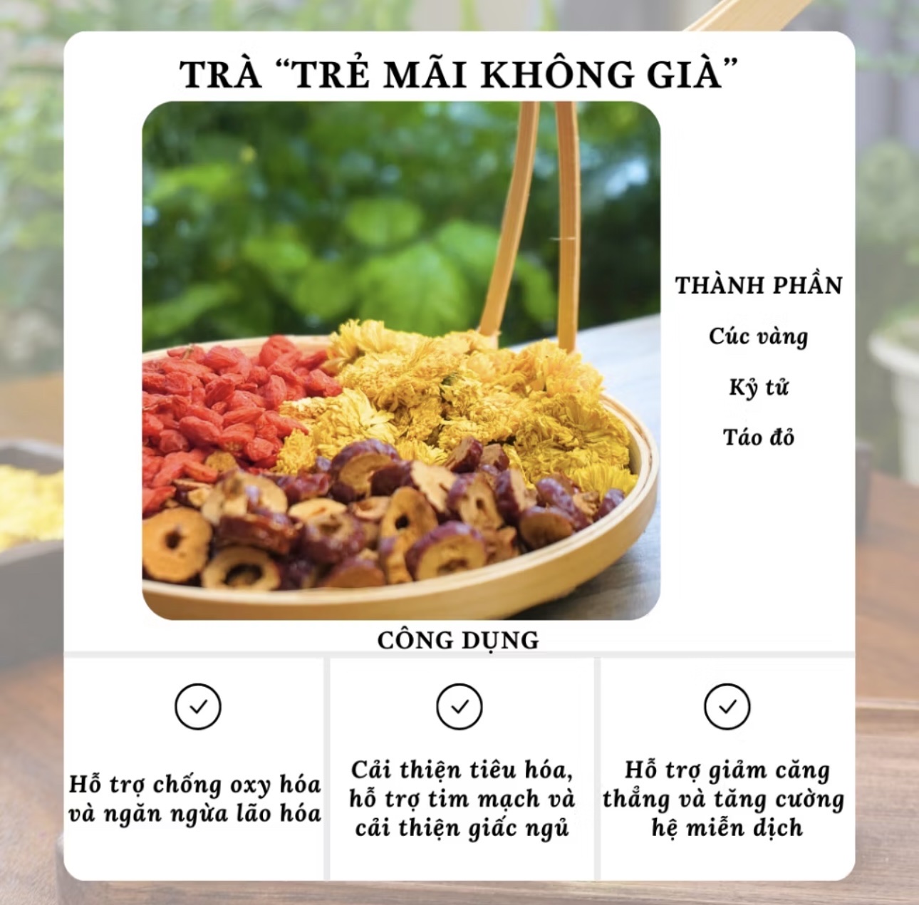 Trà chống lão hóa